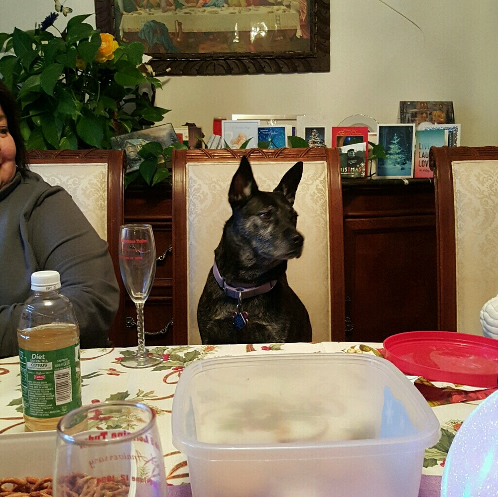 Meet your Posher, Katy